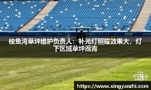 梭鱼湾草坪维护负责人：补光灯照耀效果大，灯下区域草坪返青